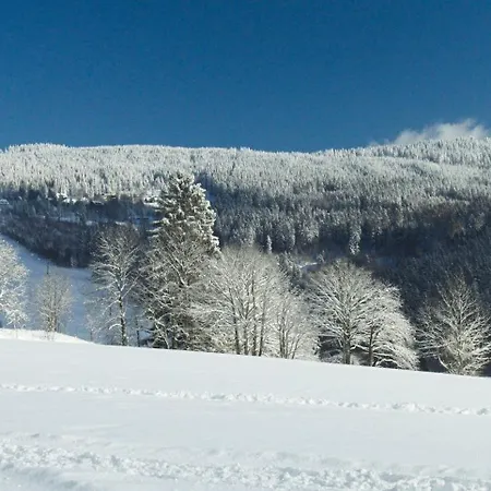 Ferienhaus Horska Poustka Benecko