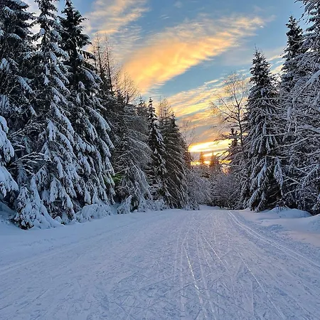 度假居 Horska Poustka 贝内茨科