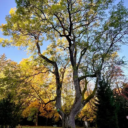 Horska Poustka 度假居 *