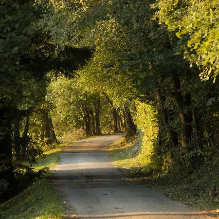 度假居 Horska Poustka 贝内茨科